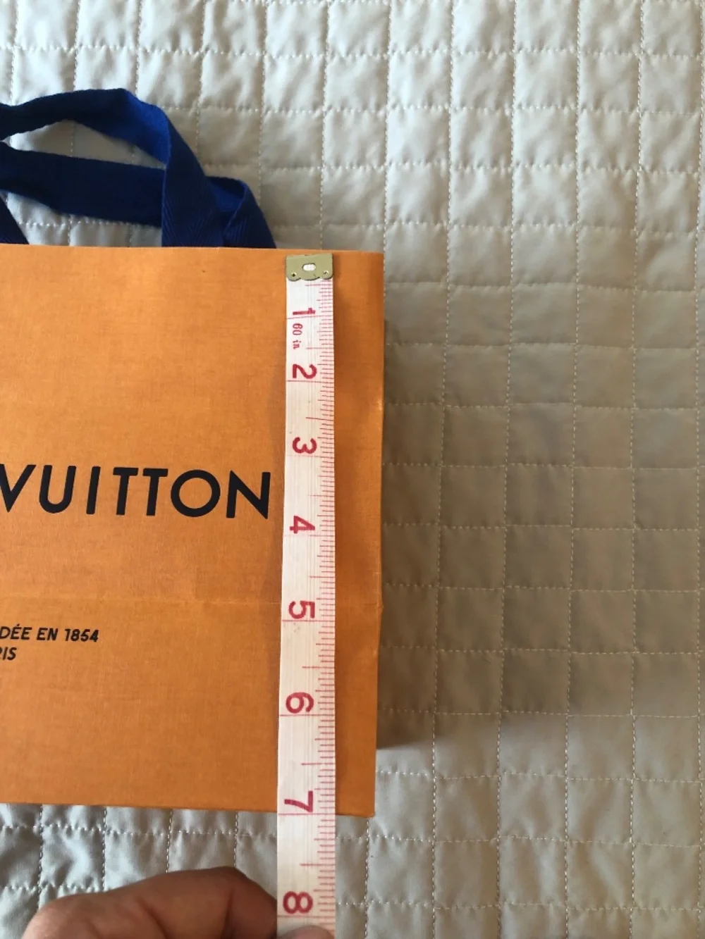Louis Vuitton authentic louis